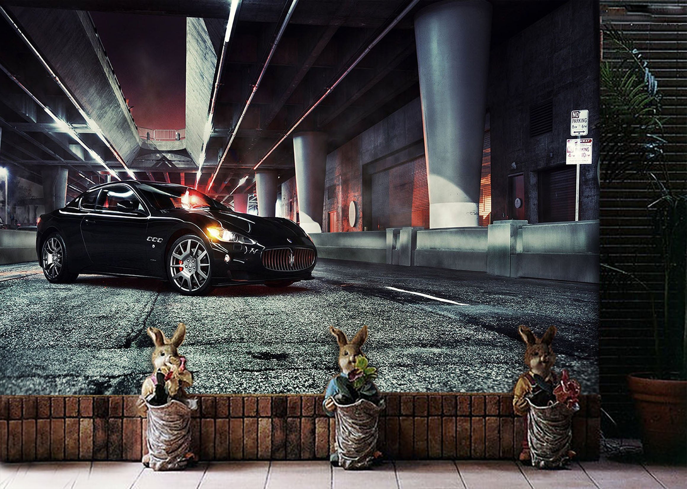 3D Black Maserati 277 Vehicle Wall Murals