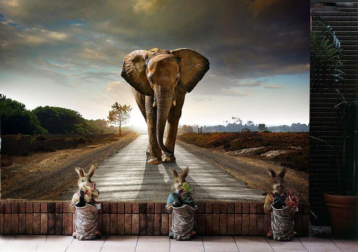 Walking Elephant Wallpaper AJ Wallpaper 