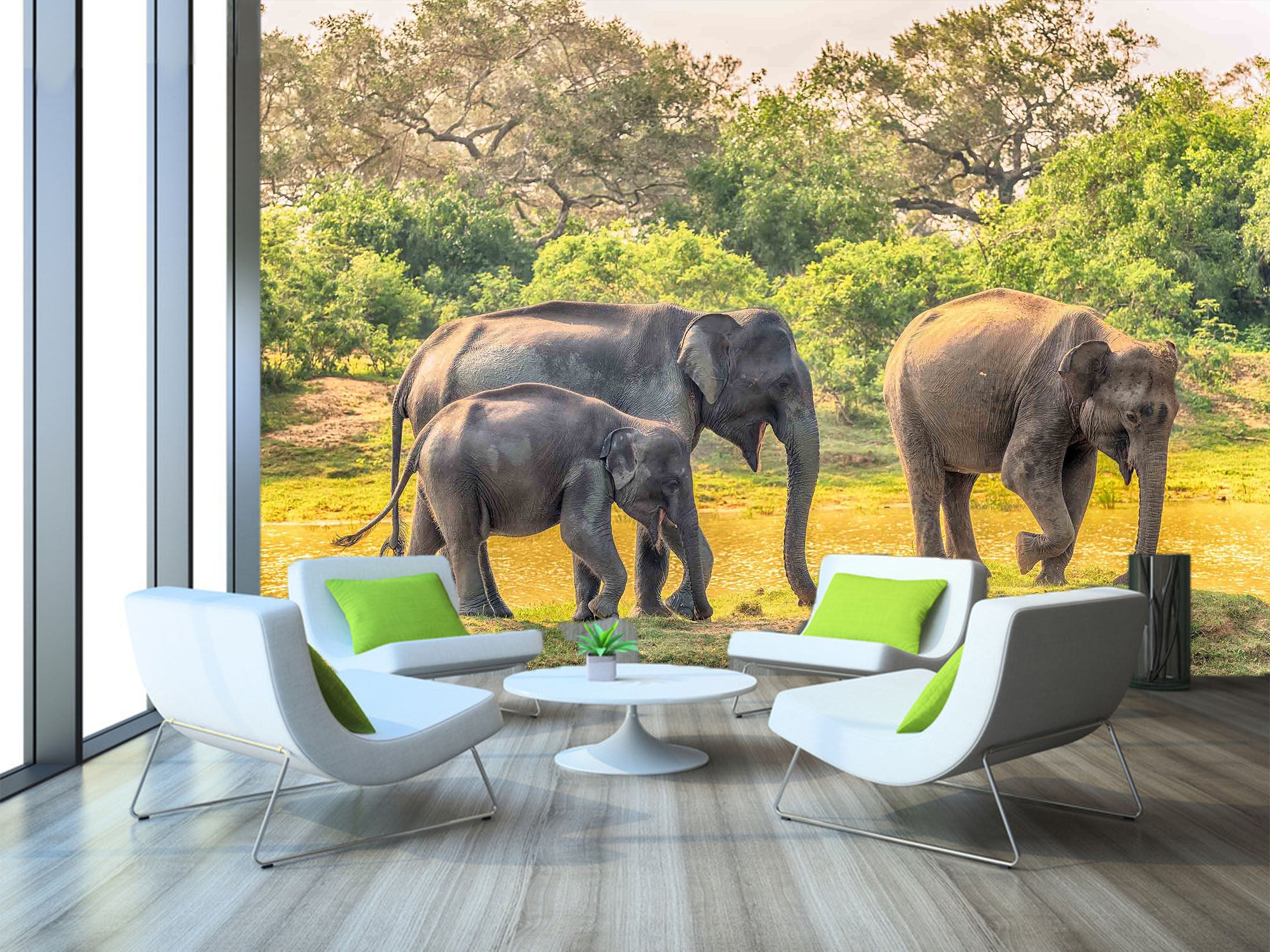 3D Elephant Family 1059 Wall Murals