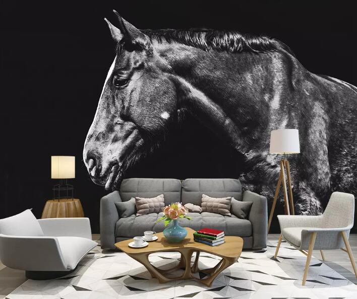 3D Black Horse WG27 Wall Murals Wallpaper AJ Wallpaper 2 