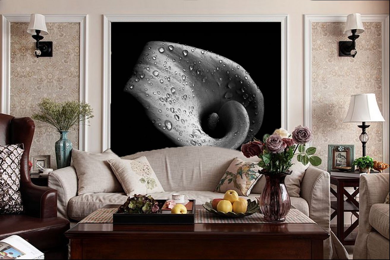 Dewy Flower Wallpaper AJ Wallpaper 