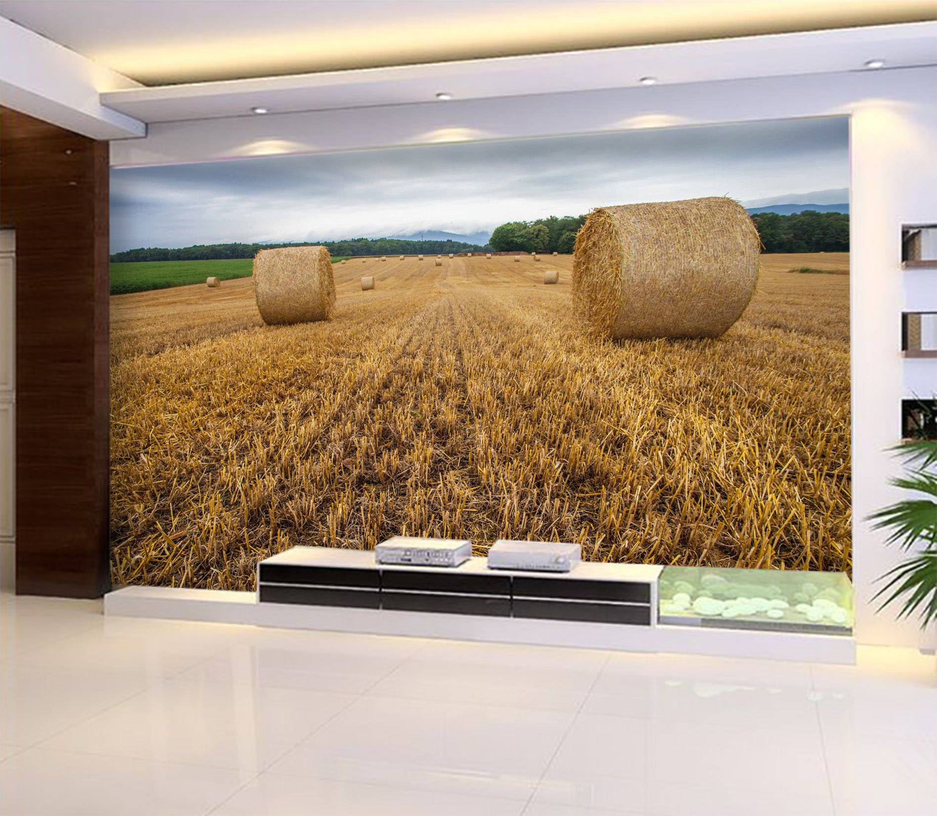 3D Golden Field 1033 Wall Murals