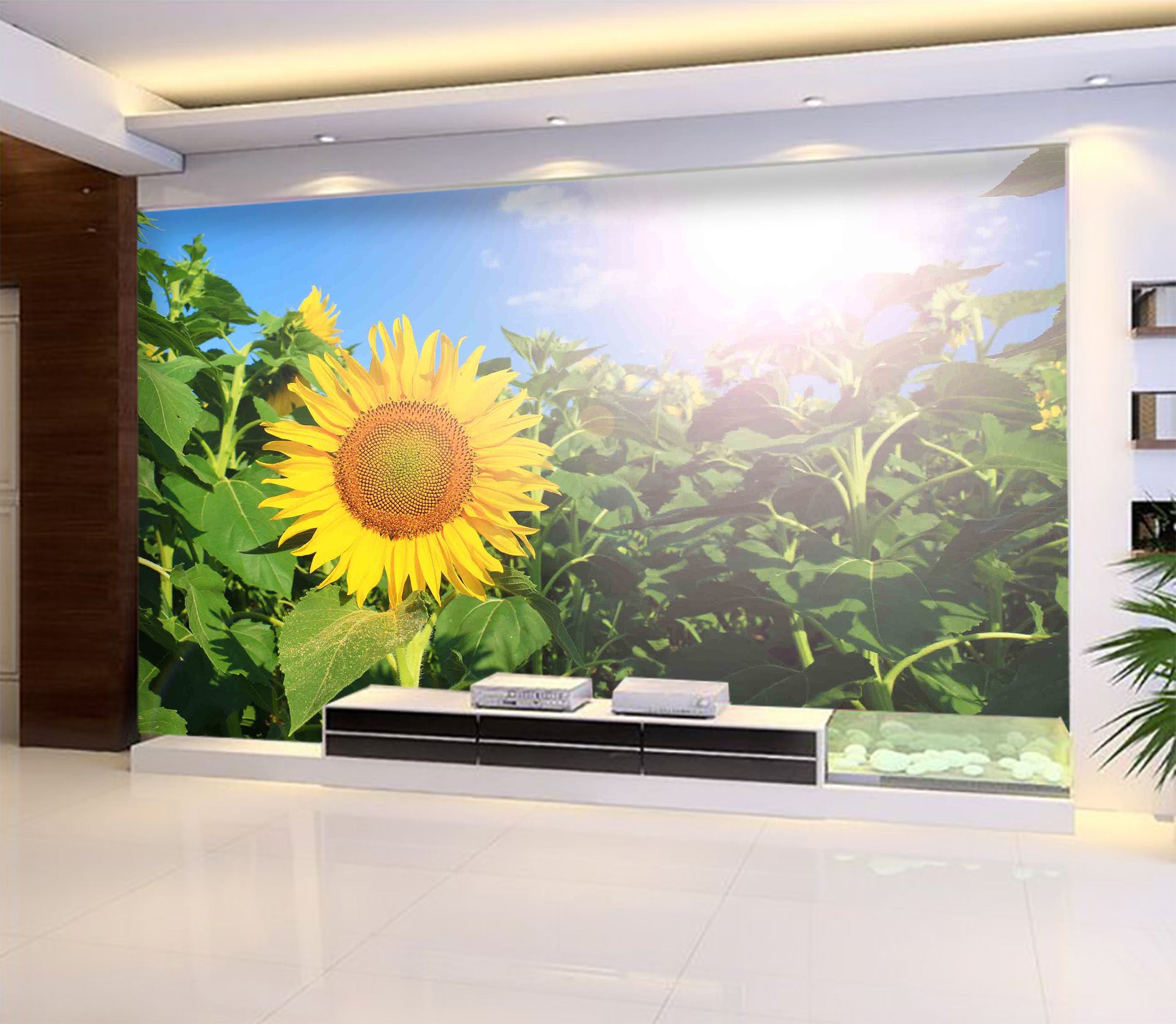 3D Sunflower 1024 Wall Murals