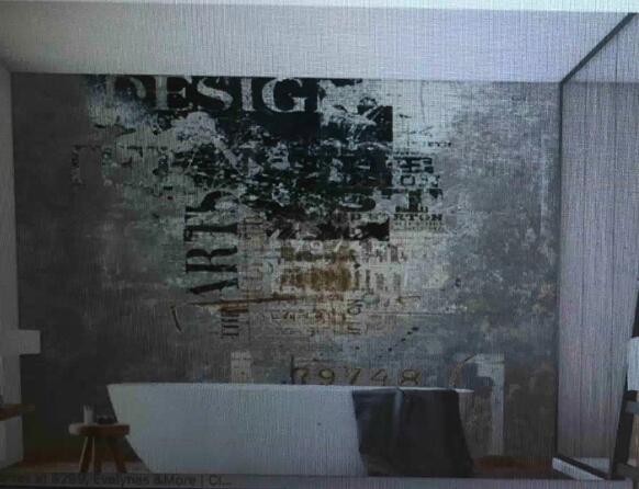 URGENT EXPRESS + Custom size in 526cm wide and 270cm high in Canvas from ETSY (aj)