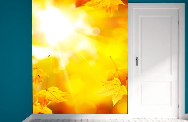 Falling Leaves 1 Wallpaper AJ Wallpaper 