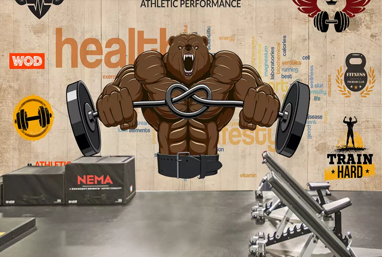 3D Fierce Bear Weightlifting 337 Wallpaper AJ Wallpaper 2 