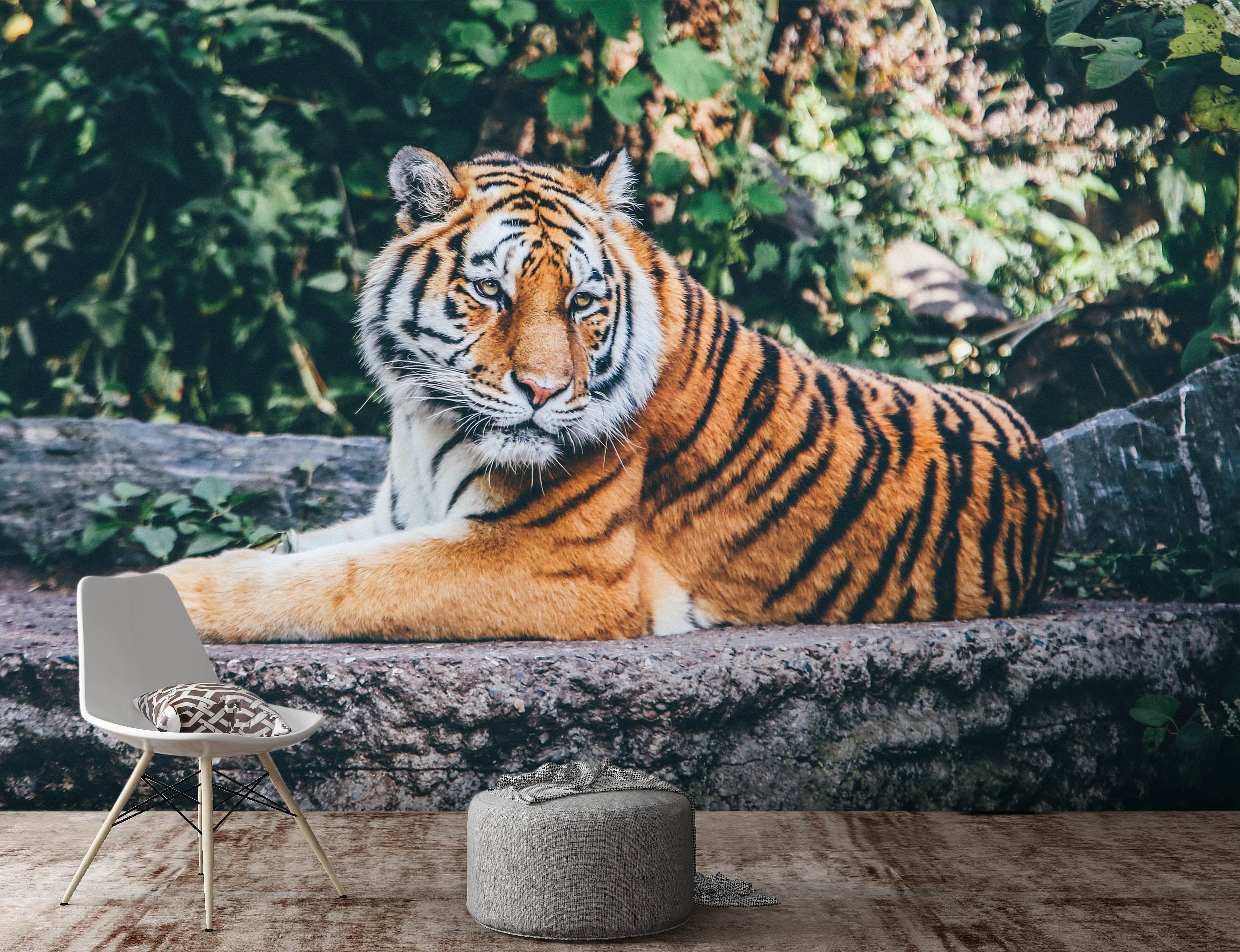 3D Forest Tiger 581 Wallpaper AJ Wallpaper 