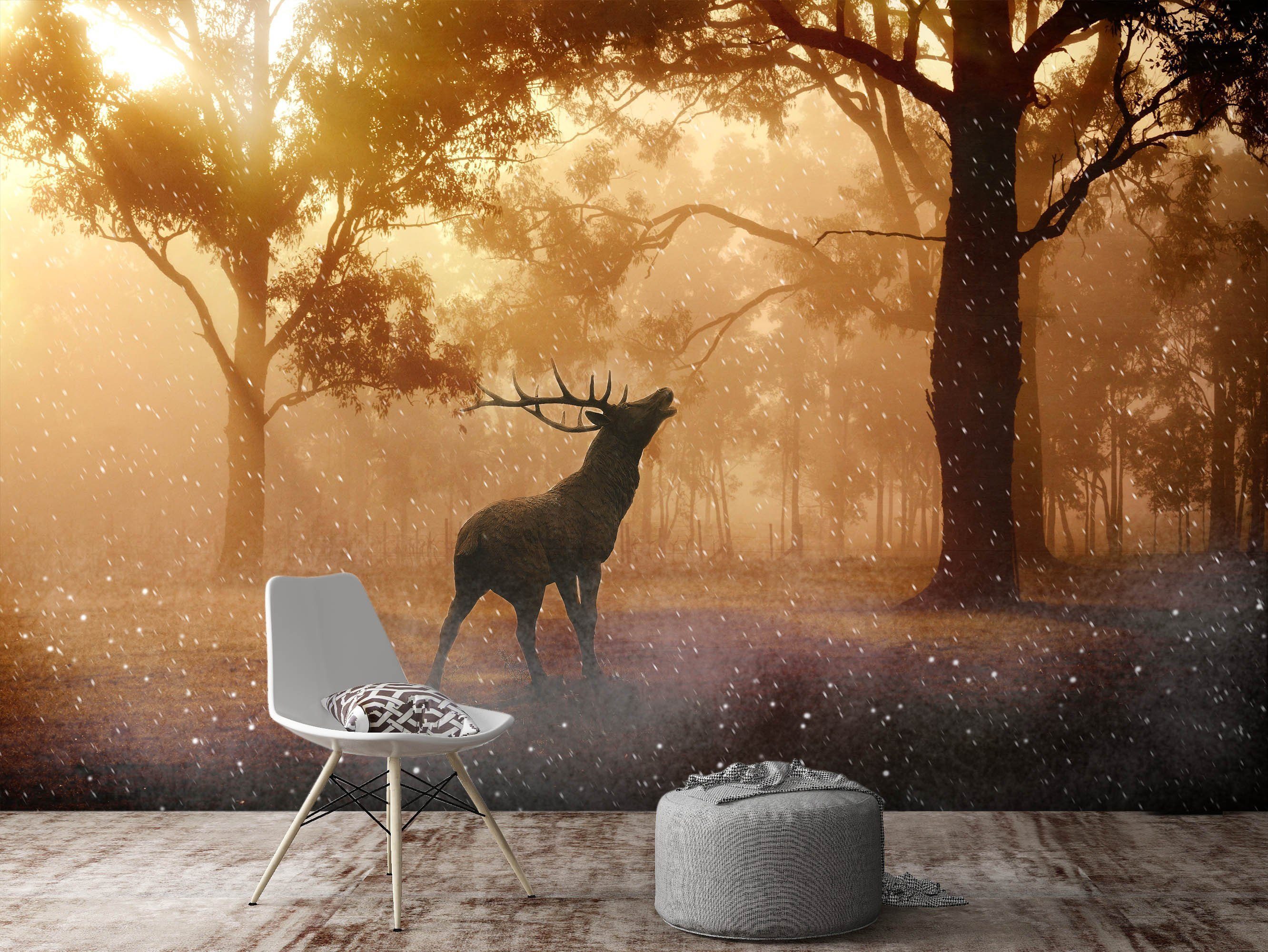 3D Antelope Woods 664 Wallpaper AJ Wallpaper 