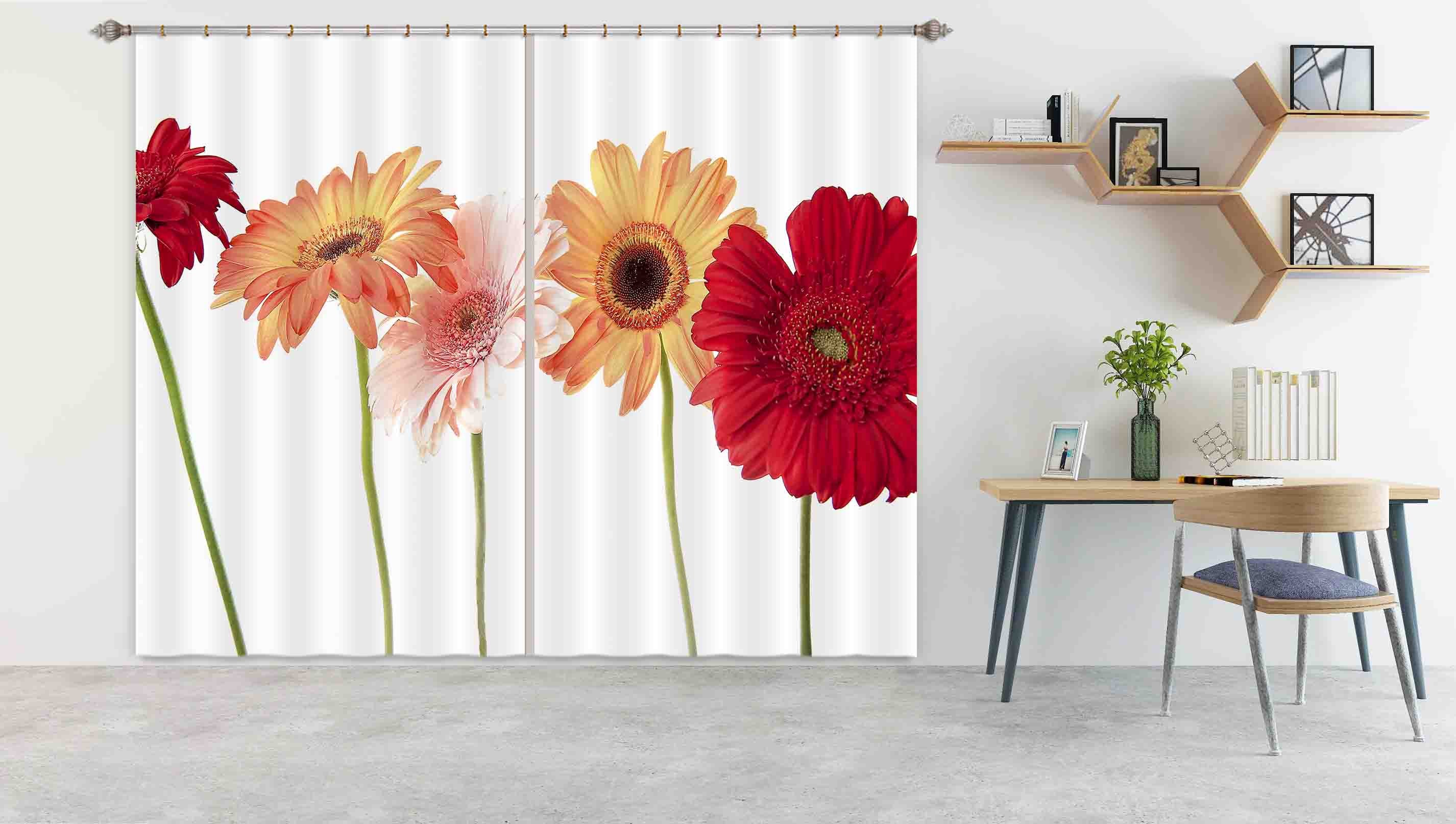 3D Daisy Flower 037 Kathy Barefield Curtain Curtains Drapes
