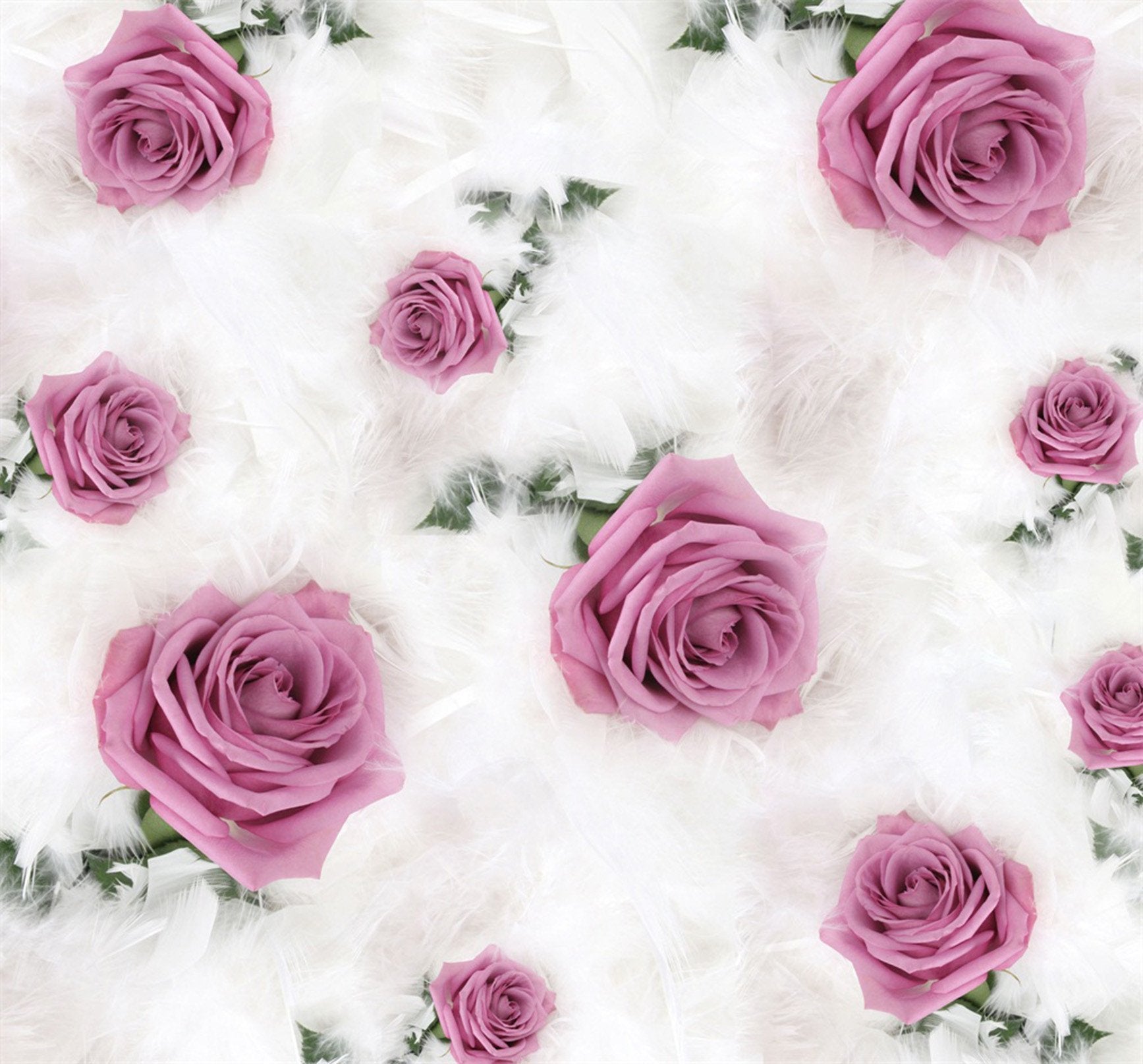 Roses And Feathers Wallpaper AJ Wallpaper 