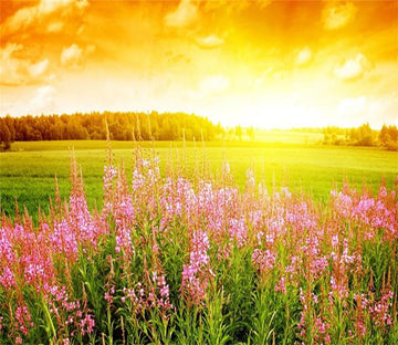 3D Sunshine Fields Flower 98 Wallpaper AJ Wallpaper 