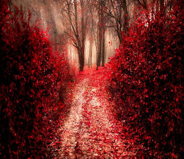 3D Red Maple Forest Path 87 Wallpaper AJ Wallpaper 