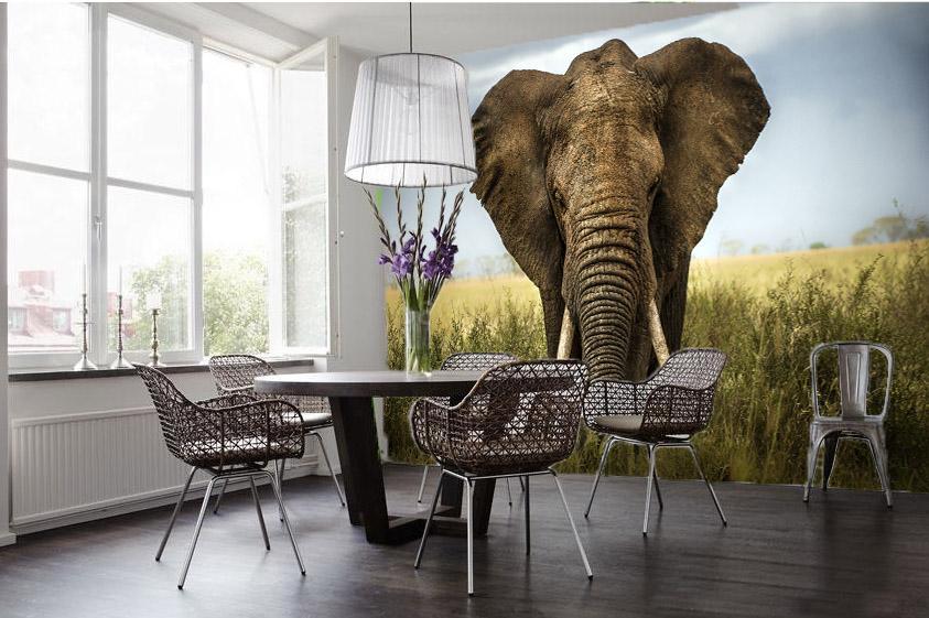 3D Elephant Teeth 023 Wallpaper AJ Wallpaper 