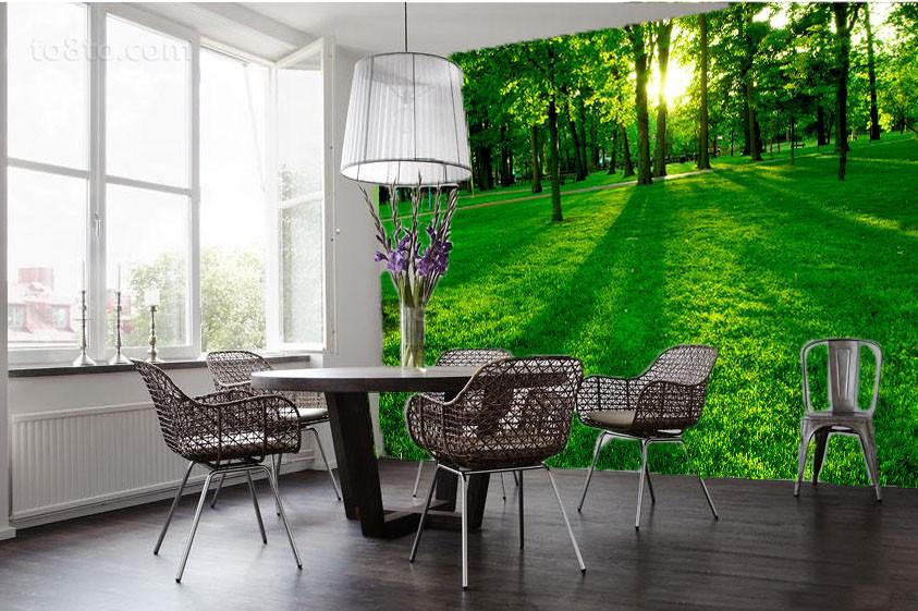 Green Forest 5 Wallpaper AJ Wallpaper 