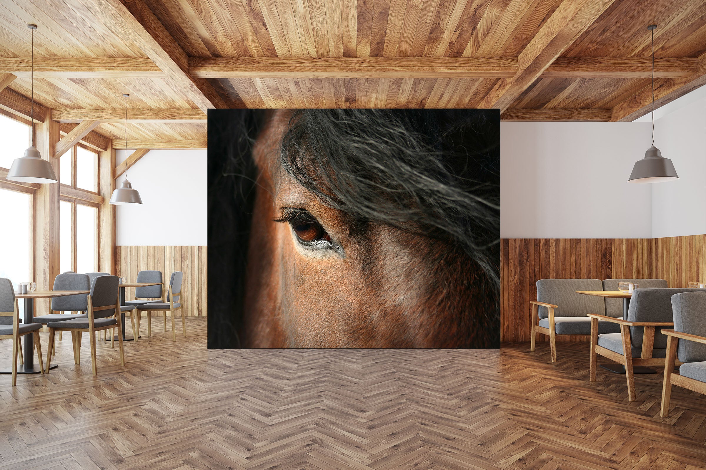3D Horse Eye 177 Wall Murals