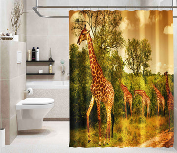 3D Giraffe Grazing 023 Shower Curtain 3D Shower Curtain AJ Creativity Home 