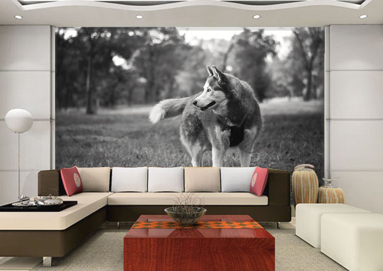 3D Running Huskies 46 Wallpaper AJ Wallpaper 