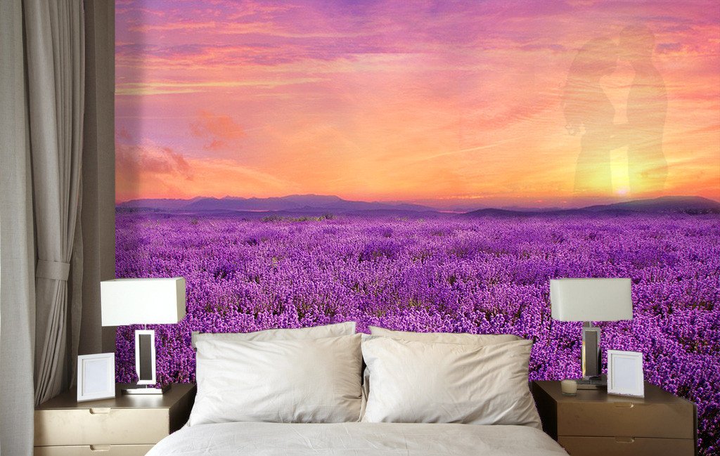Romantic Purple Field Wallpaper AJ Wallpaper 