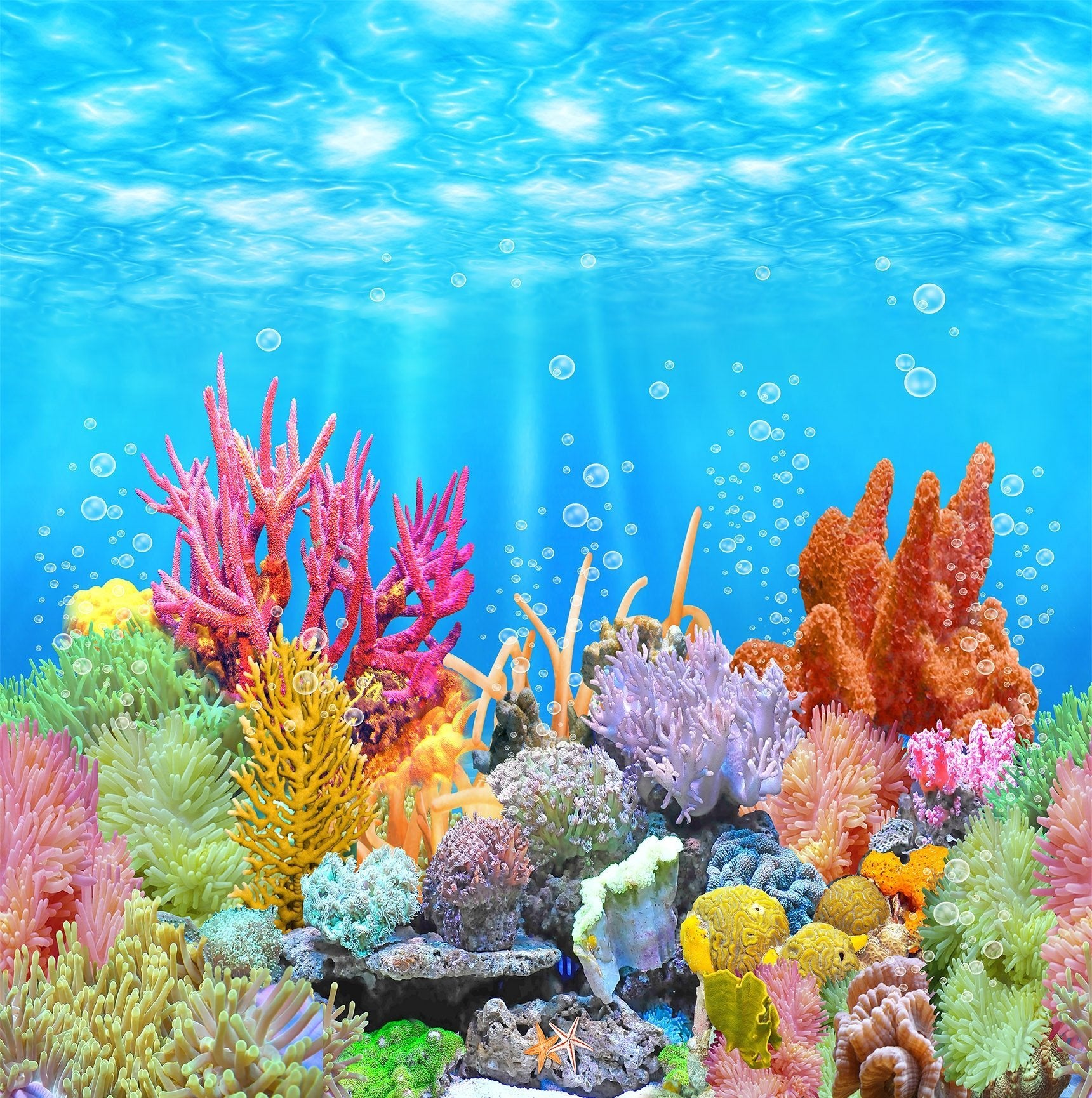 3D Seabed Colored Coral 318 Wallpaper AJ Wallpaper 