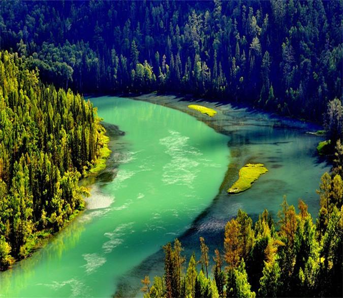 3D Jungle River 381 Wallpaper AJ Wallpaper 