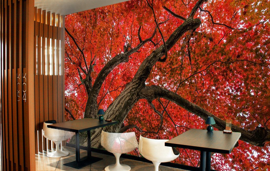 3D Red Maple Tree 35 Wallpaper AJ Wallpaper 