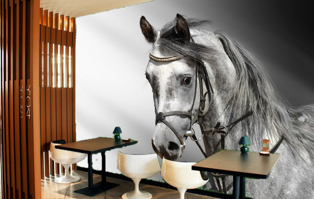Gloomy Horse Wallpaper AJ Wallpaper 