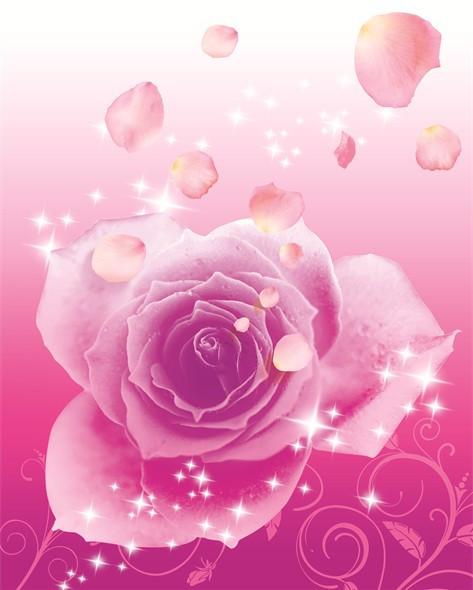 Flying Pink Petals Wallpaper AJ Wallpaper 