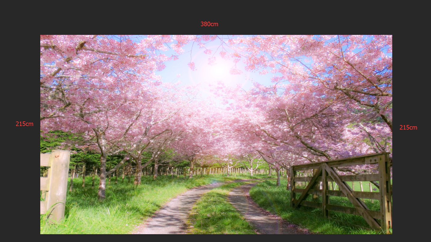 Peach Blossom Road :size: W: 380cm x H: 215cm AJ Wallpaper 