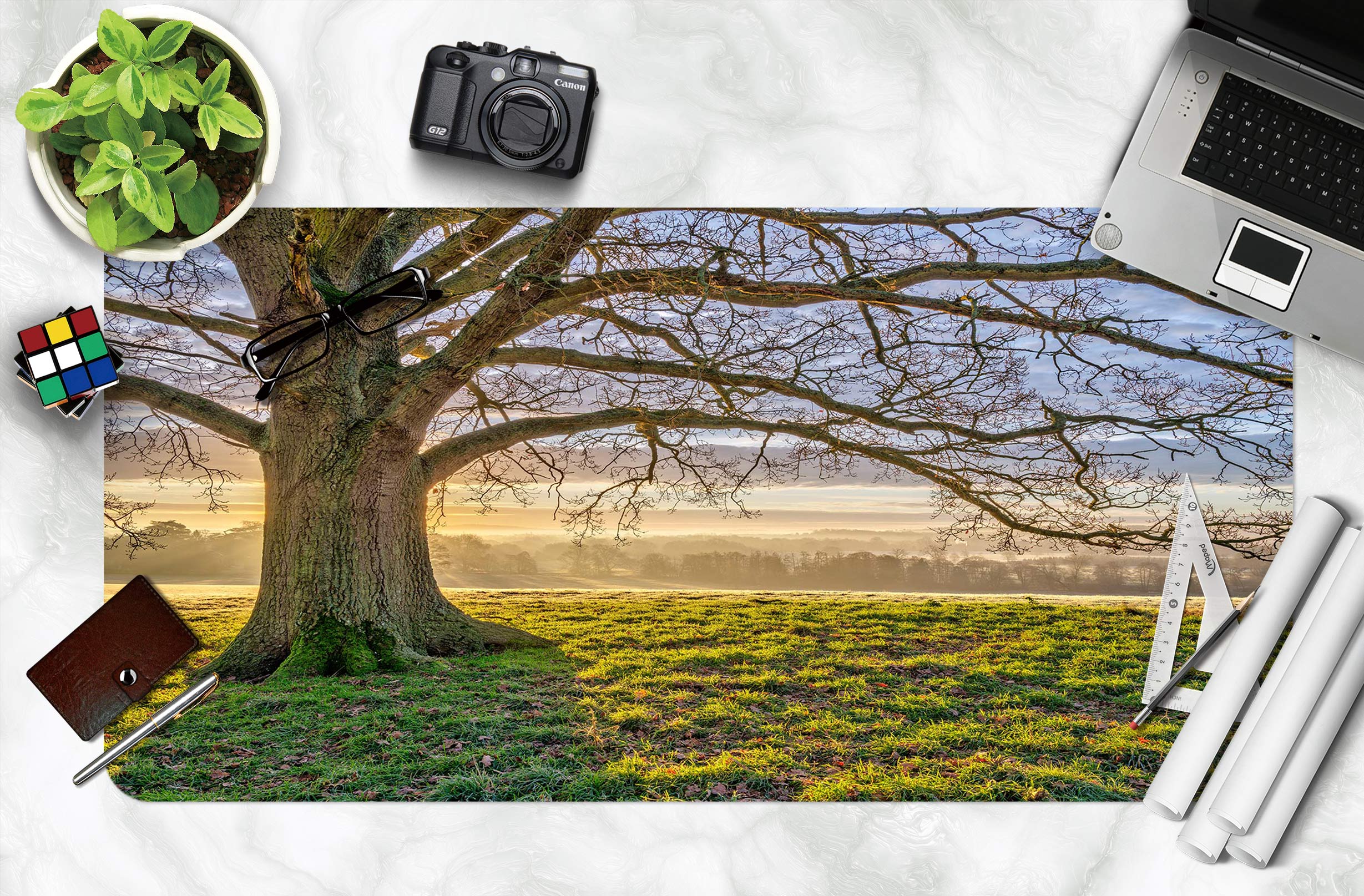 3D Green Grass Big Tree 12459 Assaf Frank Desk Mat