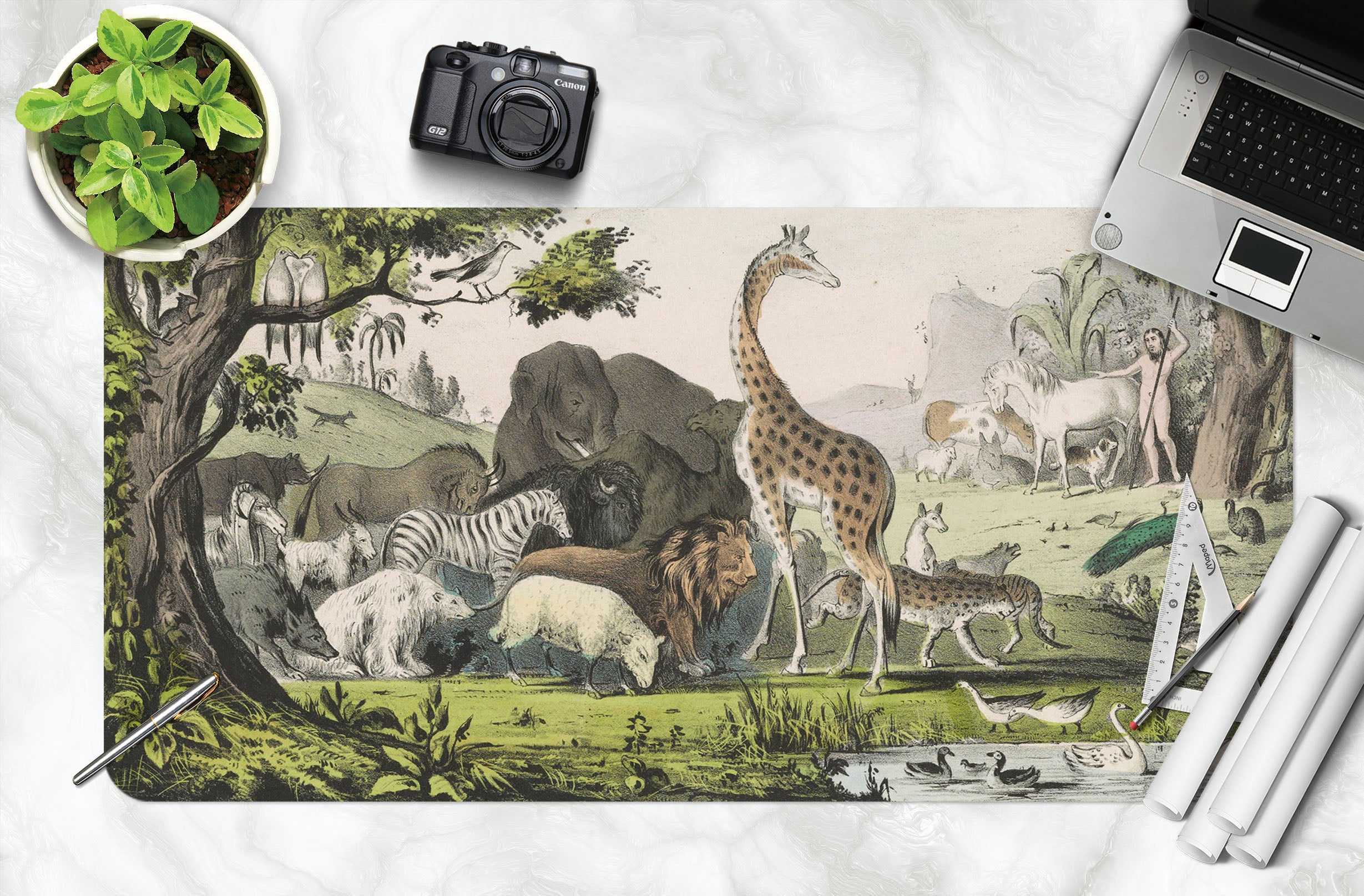 3D Animal Giraffe Elephant 981 Andrea Haase Desk Mat