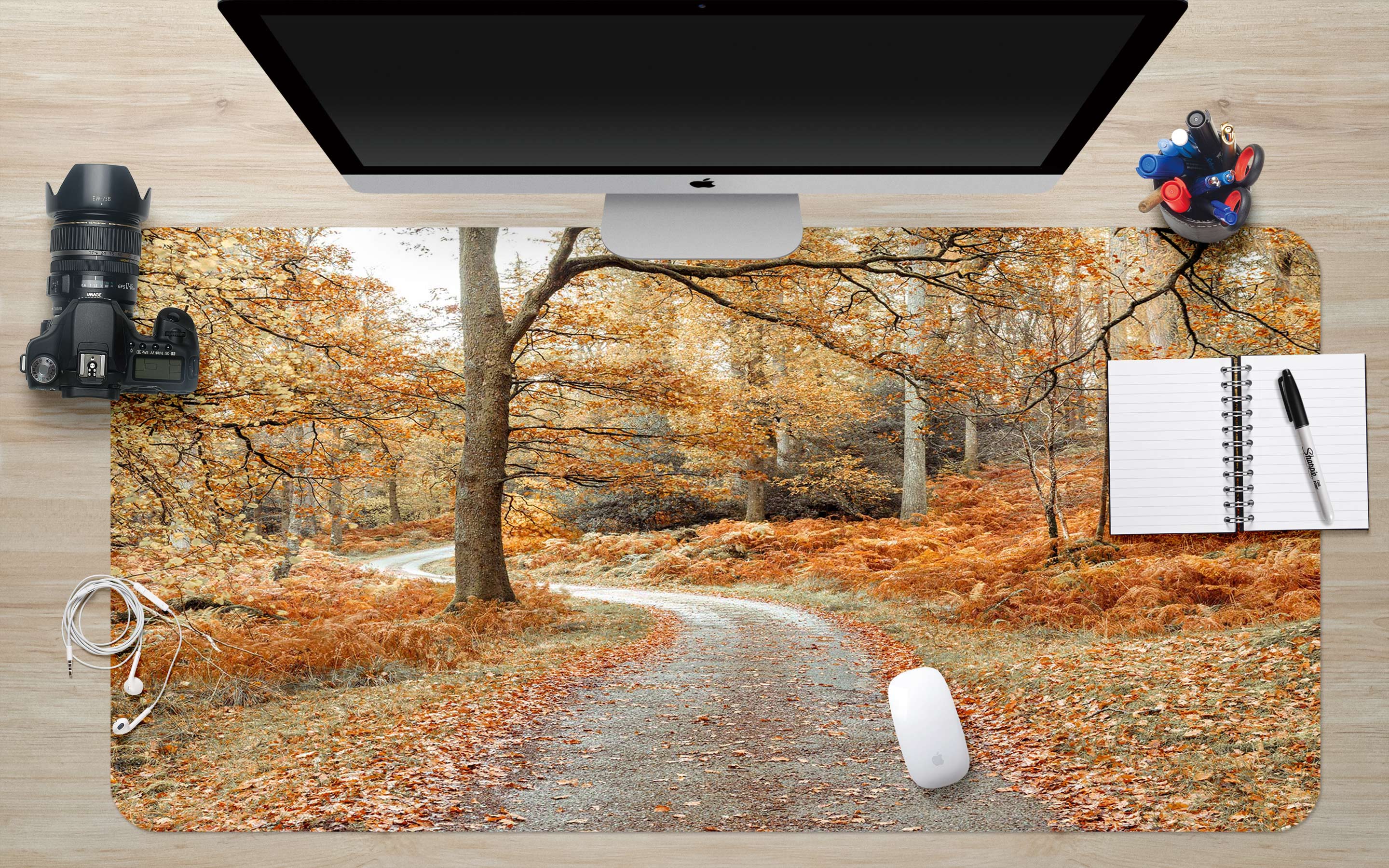 3D Fallen Leaves Path Trees 12444 Assaf Frank Desk Mat