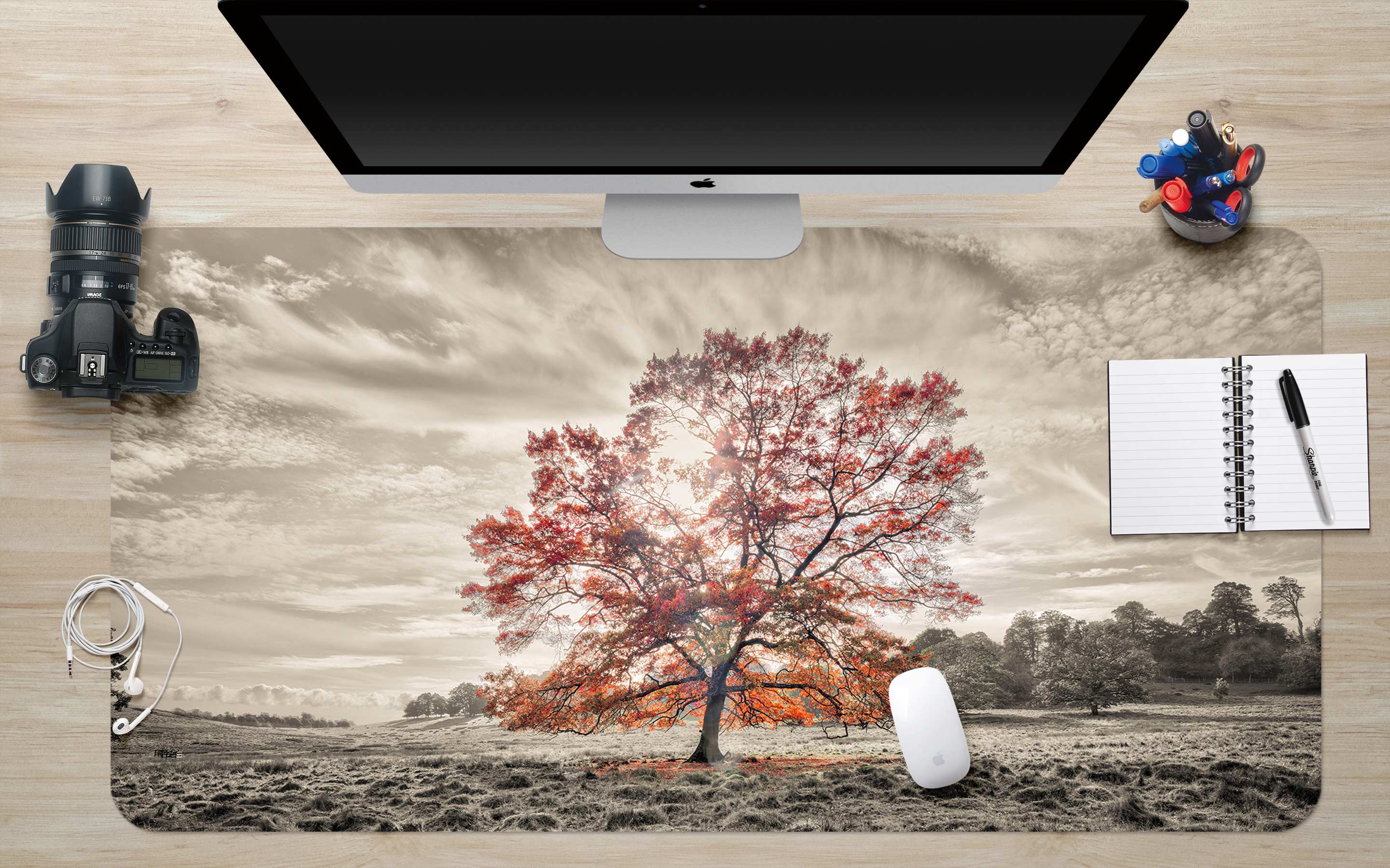 3D Tree Lawn 12439 Assaf Frank Desk Mat