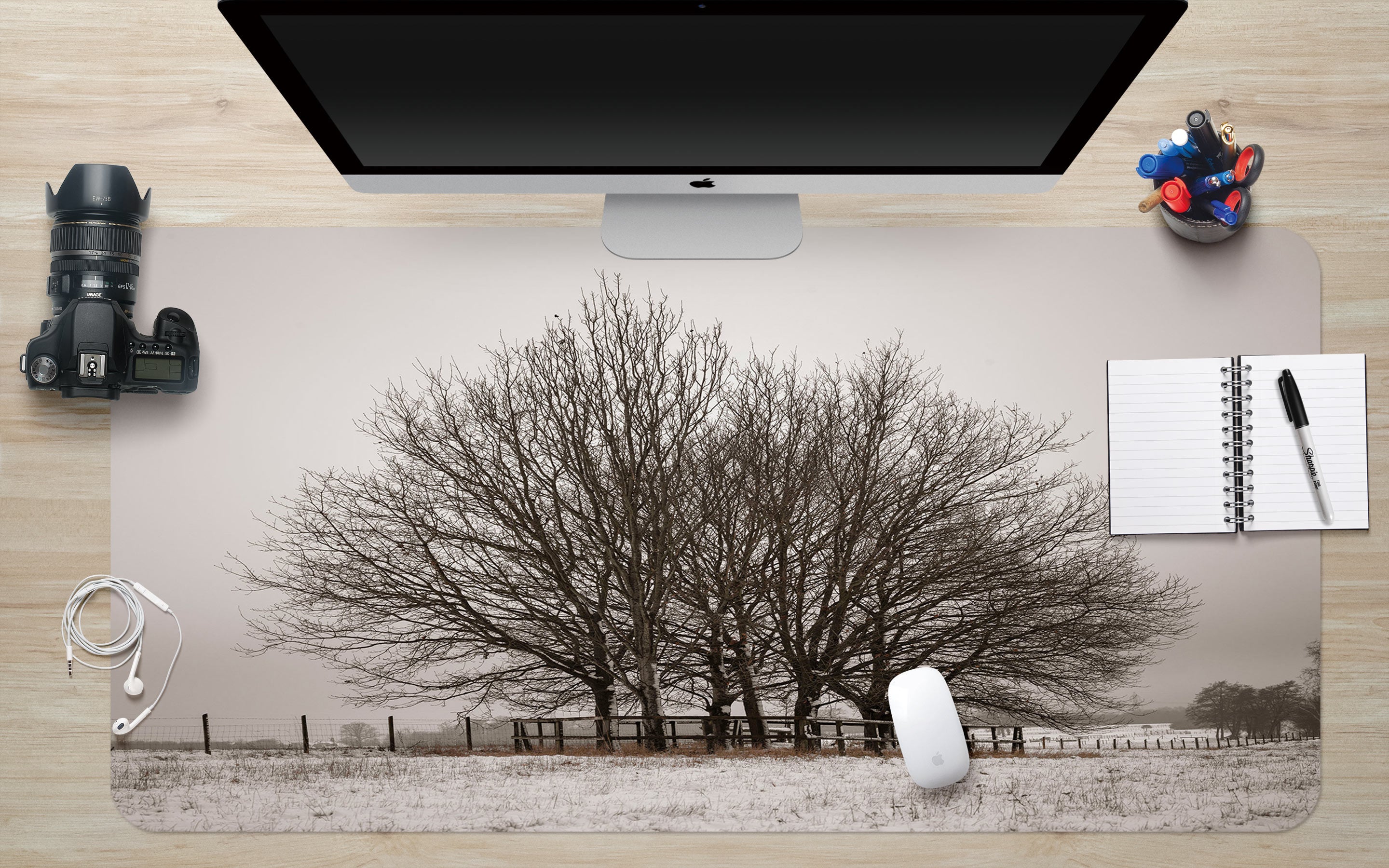 3D Trees Snow 12428 Assaf Frank Desk Mat