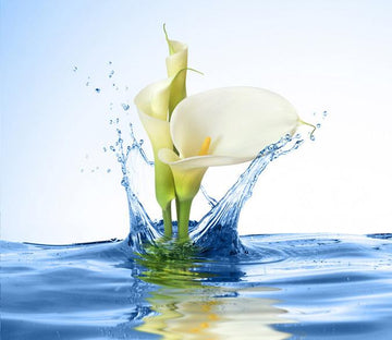 3D White Lily Blossoming On Water 6 Wallpaper AJ Wallpaper 