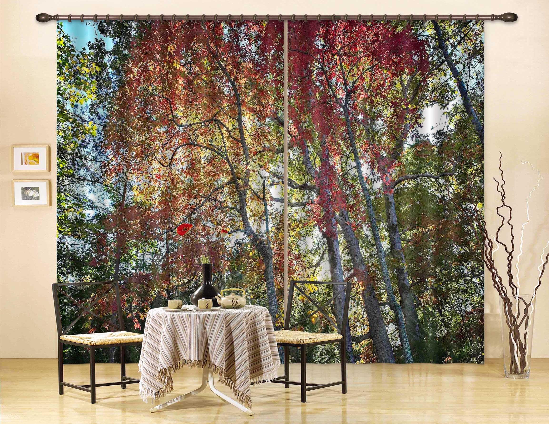 3D Natural Forest 063 Kathy Barefield Curtain Curtains Drapes