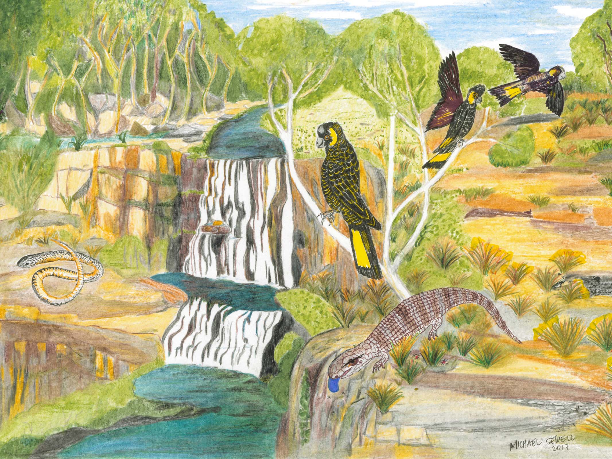 3D Forest Ostrich 1404 Michael Sewell Wall Mural Wall Murals