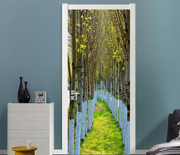 3D grassland field silver birch door mural Wallpaper AJ Wallpaper 