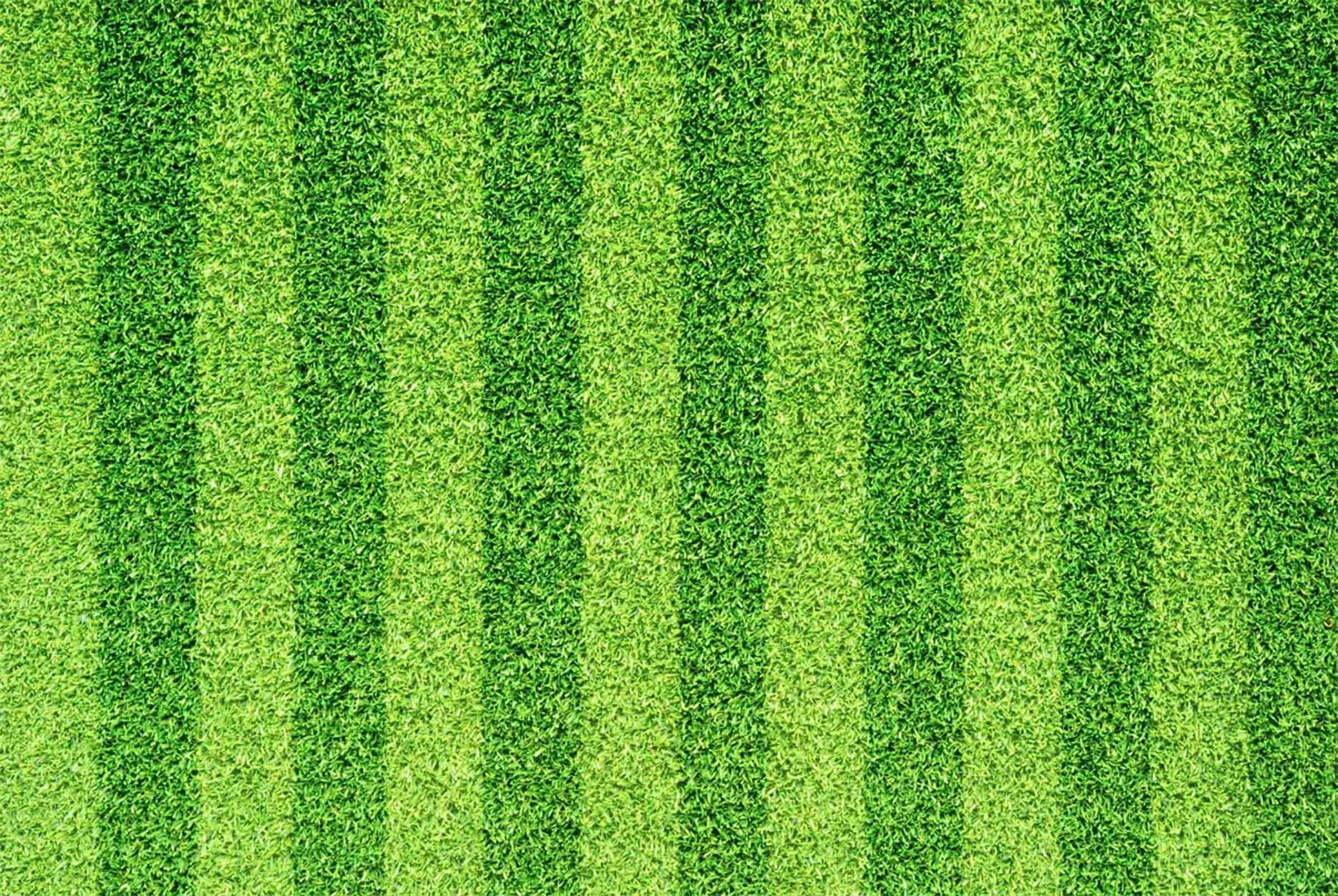 3D Grass Stripes Kitchen Mat Floor Mural Wallpaper AJ Wallpaper 