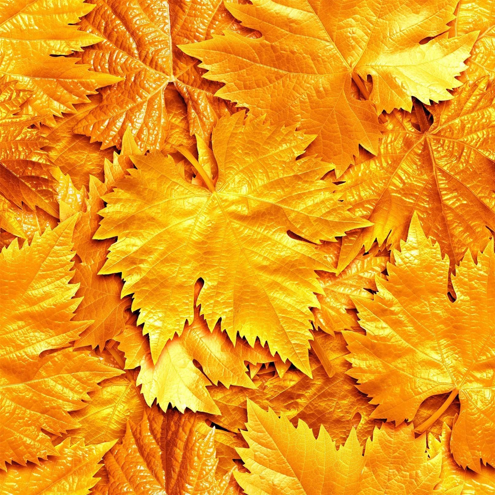 3D Golden Leaves 12 Kitchen Mat Floor Mural Wallpaper AJ Wallpaper 