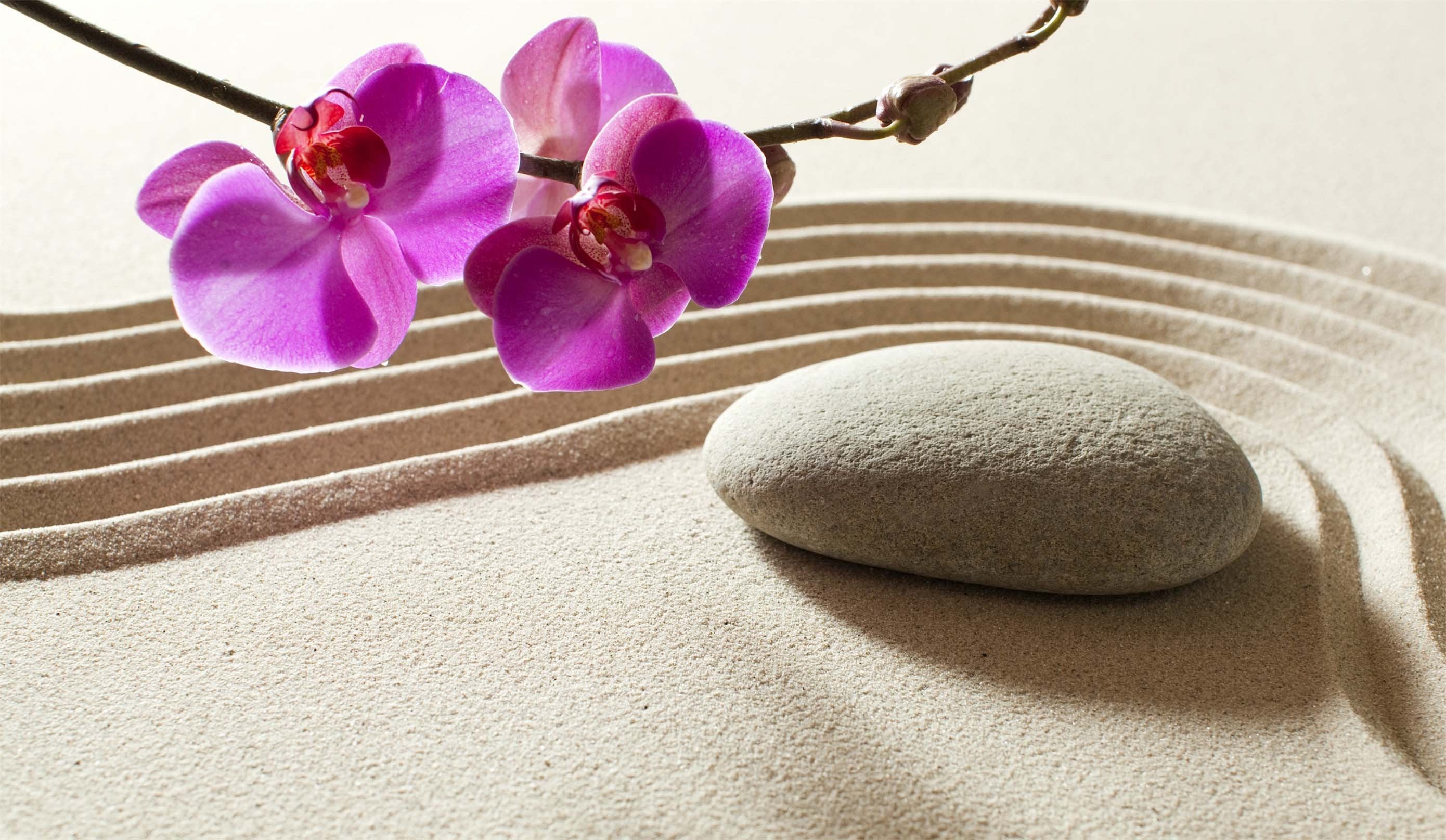 3D Phalaenopsis Stones 90 Kitchen Mat Floor Mural Wallpaper AJ Wallpaper 