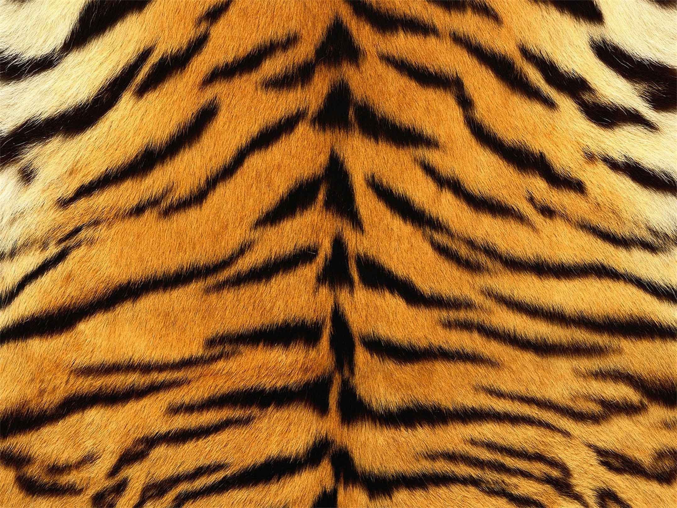 3D Tiger Fur Pattern Kitchen Mat Floor Mural Wallpaper AJ Wallpaper 