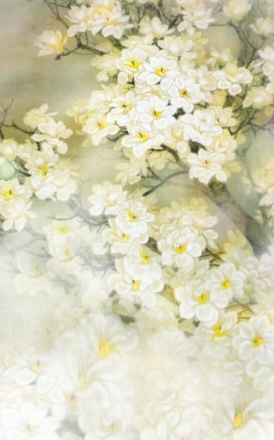 White Blossoms Tree Wallpaper AJ Wallpaper 