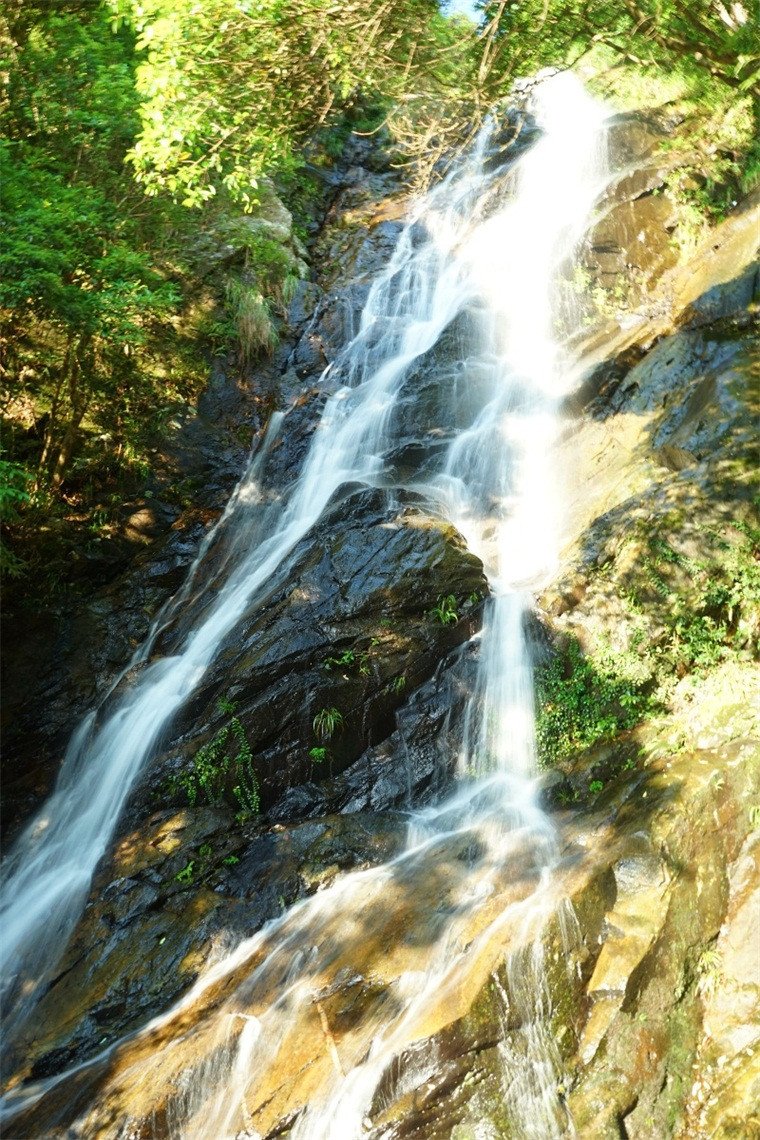 3D Rock Cliffs Flowing Stream 413 Stair Risers Wallpaper AJ Wallpaper 