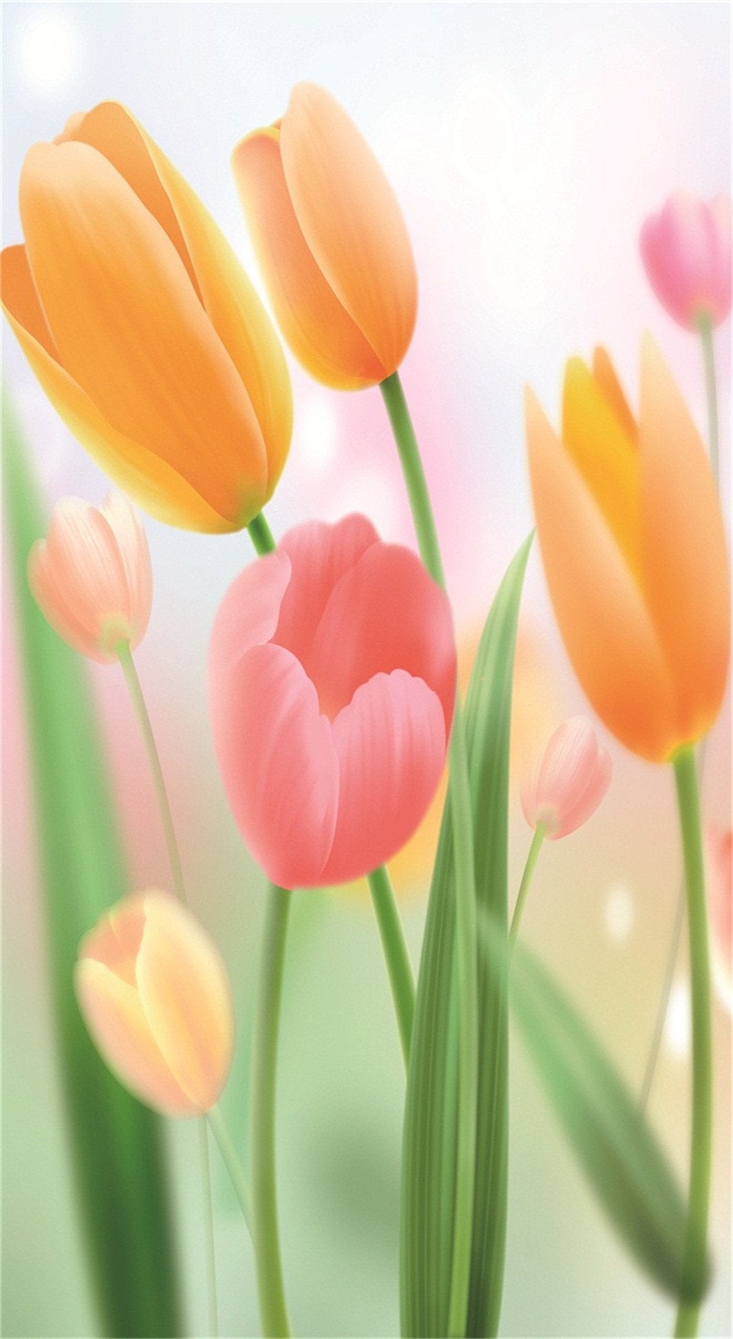 3D Elegant Tulip Flowers 114 Stair Risers Wallpaper AJ Wallpaper 