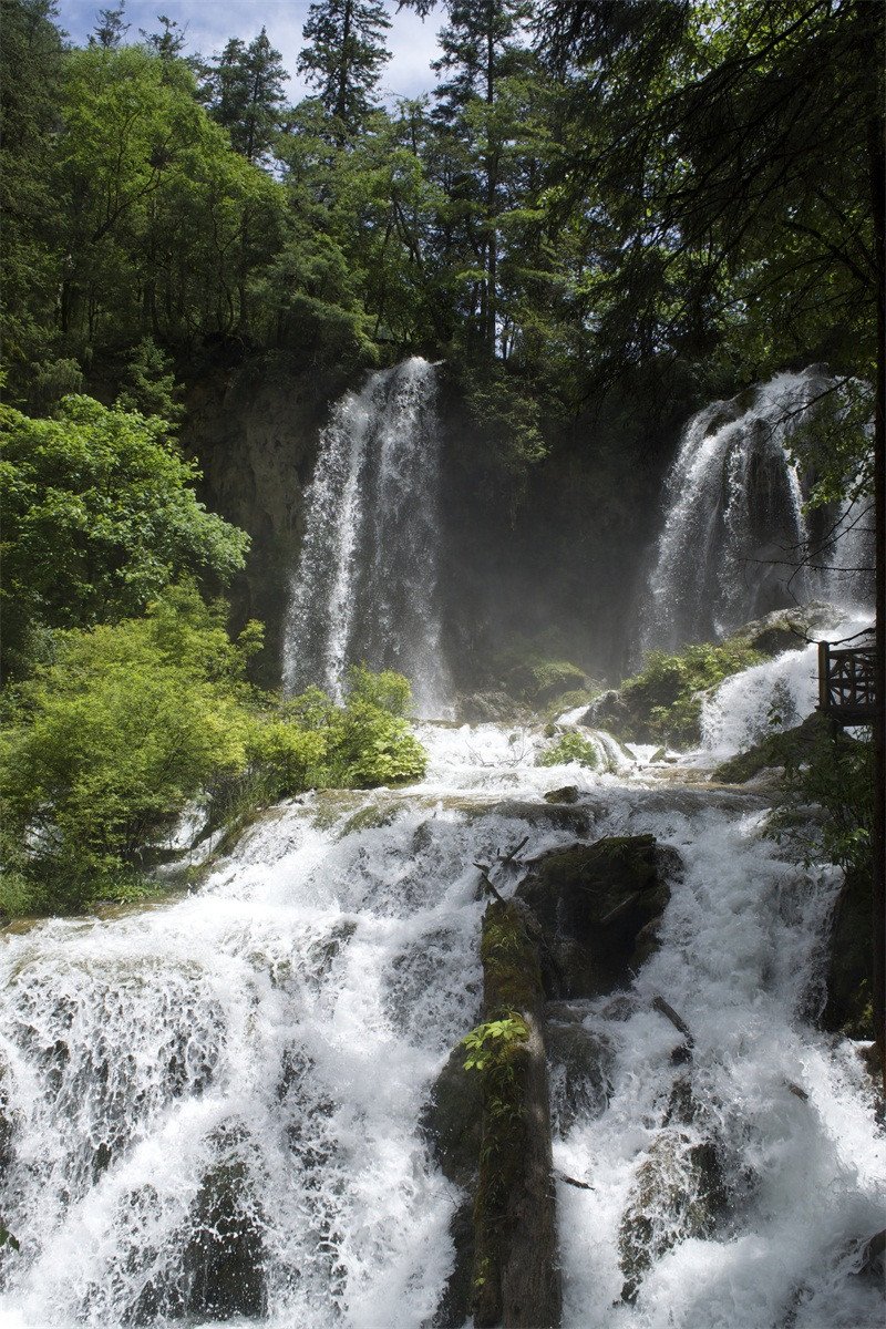 3D Forest Flowing River 501 Stair Risers Wallpaper AJ Wallpaper 