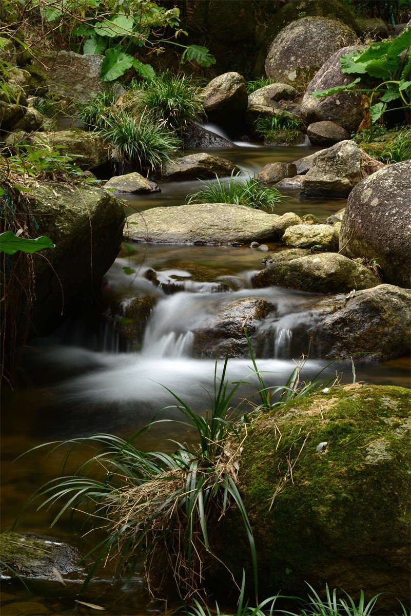 3D River Stones Scenery 654 Stair Risers Wallpaper AJ Wallpaper 