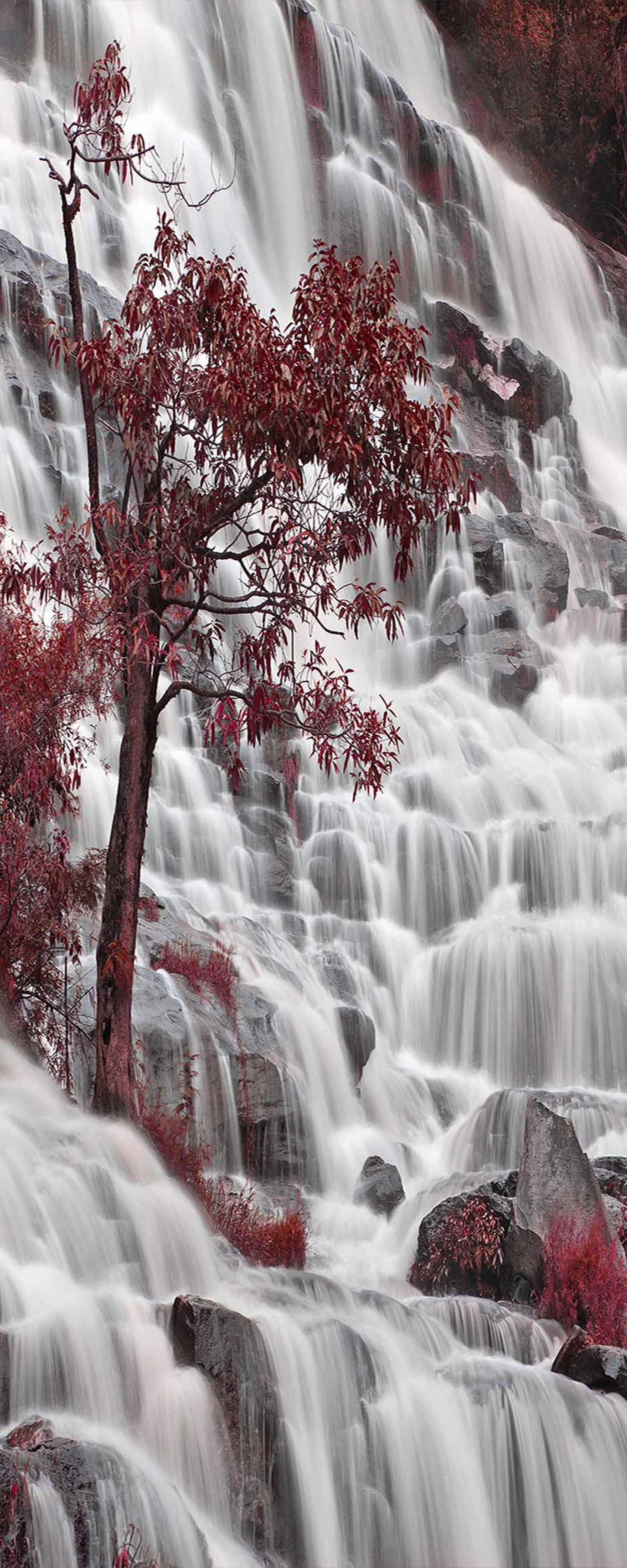 3D Waterfall Tree 823 Stair Risers Wallpaper AJ Wallpaper 