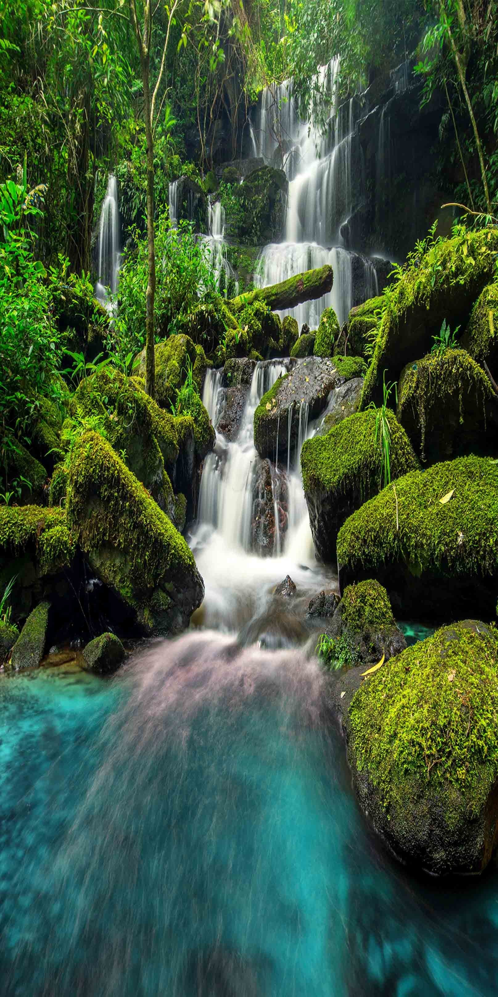 3D Waterfall Rocks Mosses 820 Stair Risers Wallpaper AJ Wallpaper 