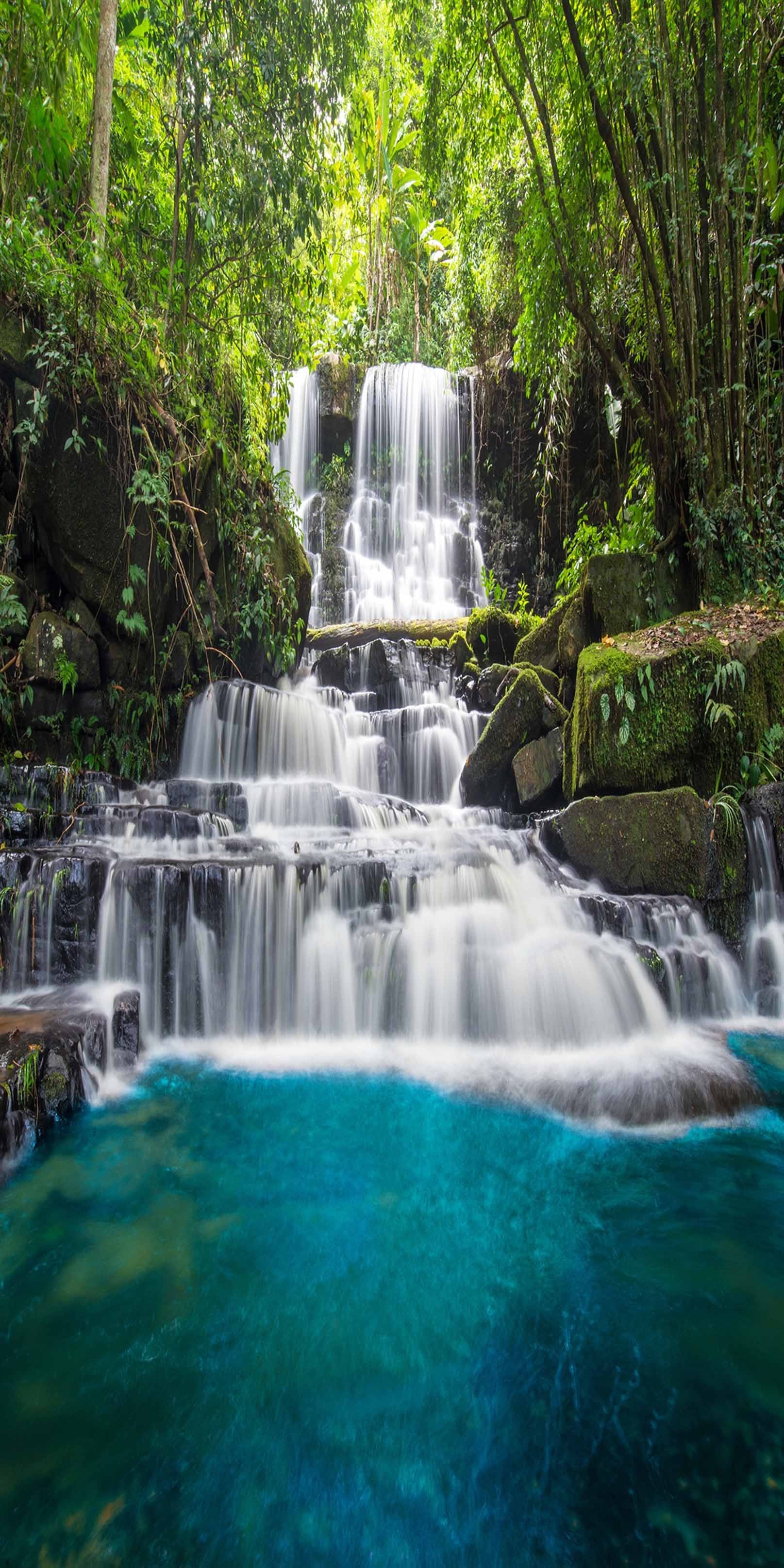 3D Forest Flowing Waterfall 815 Stair Risers Wallpaper AJ Wallpaper 