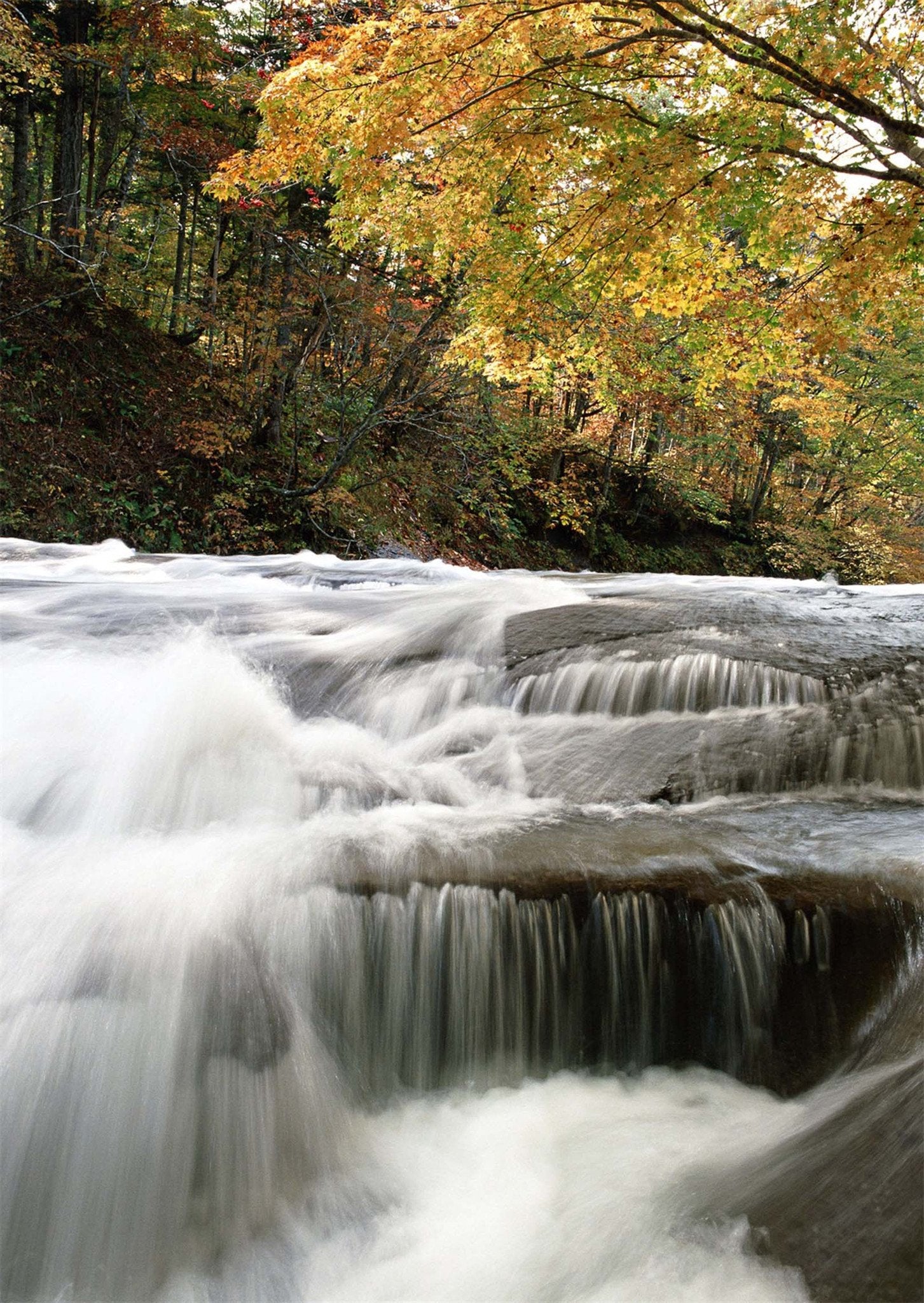 3D Fast River 960 Stair Risers Wallpaper AJ Wallpaper 